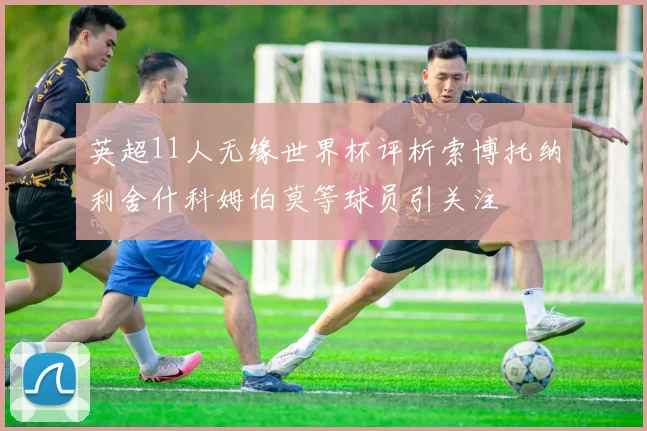 英超11人无缘世界杯评析索博托纳利舍什科姆伯莫等球员引关注